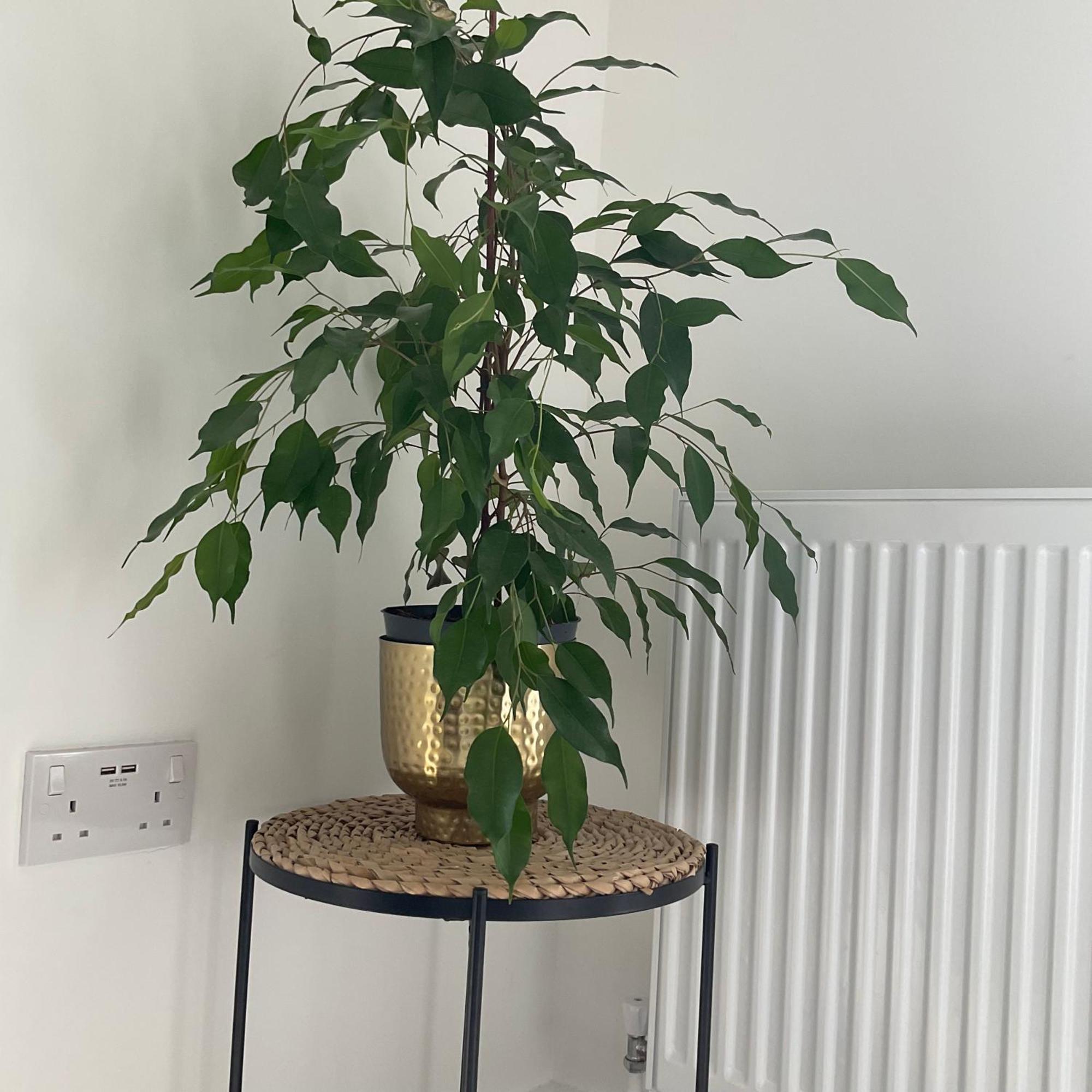 The Parkes A Stylish 3Br House, 5 Mins From Central Birmingham Close To The Edgbaston Stadium, The Hippodrome, Uob, Aston And Bcu, China Town, Kings Heath Bhx Airport And Much More 외부 사진
